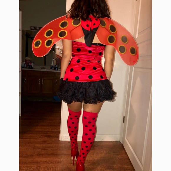 New Ladybug 🐞 Custom - Picture 2 of 8